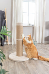 Eine rot-weiße Katze benutzt einen Kratzbaum mit beigem Sisalseil in einem hellen Raum mit Holzboden.