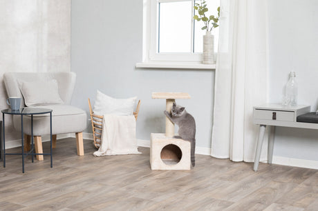 Graue Katze klettert auf beigem Kratzbaum in einem hellen Wohnzimmer mit Sessel, Tisch, Korb und Fenster.