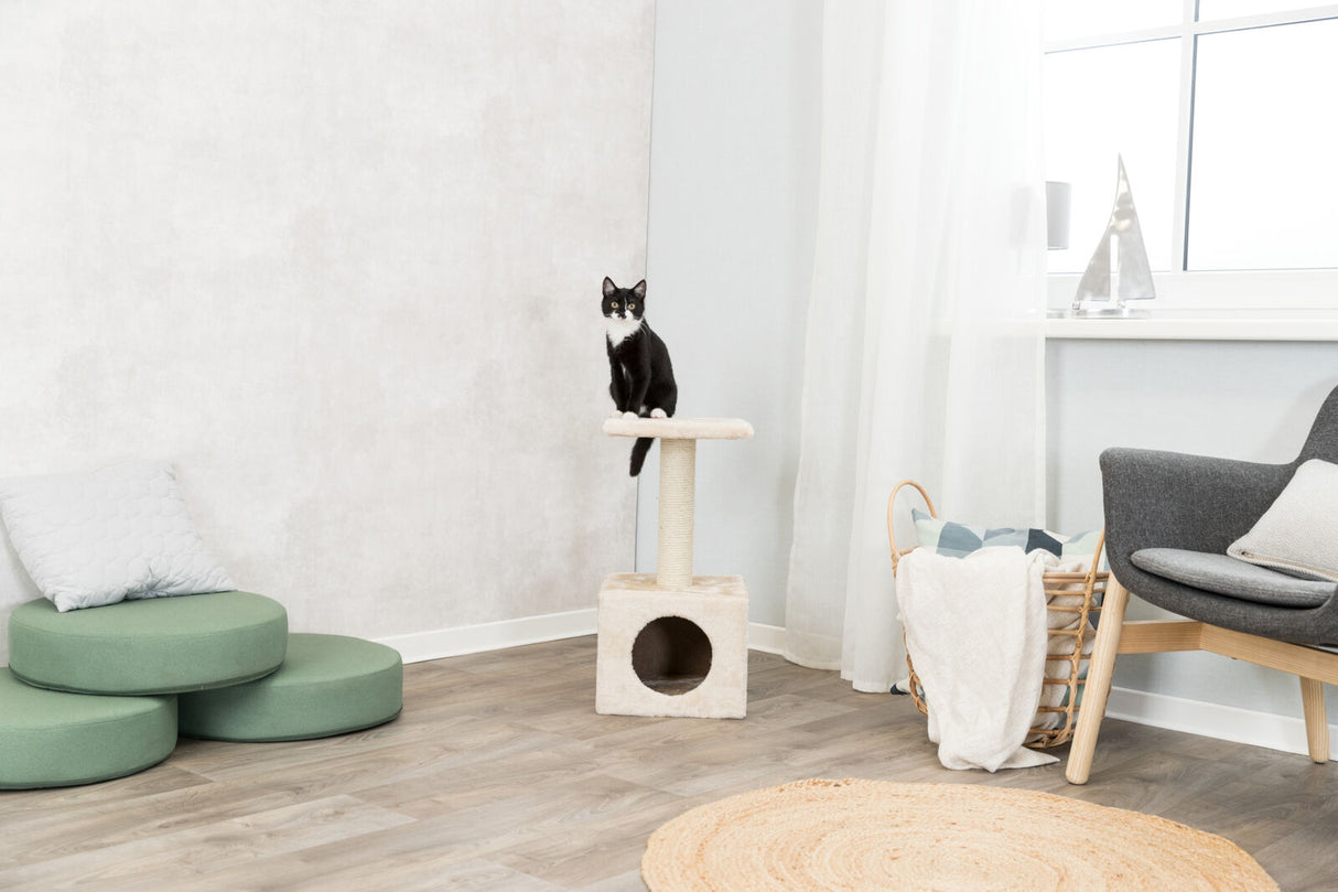 Kleiner schwarzer Kater sitzt auf einem beigen Kratzbaum in einem hellen Zimmer mit Holzfußboden und moderner Einrichtung.