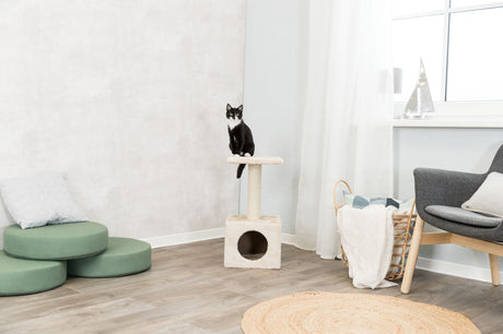 Kleiner schwarzer Kater sitzt auf einem beigen Kratzbaum in einem hellen Zimmer mit Holzfußboden und moderner Einrichtung.