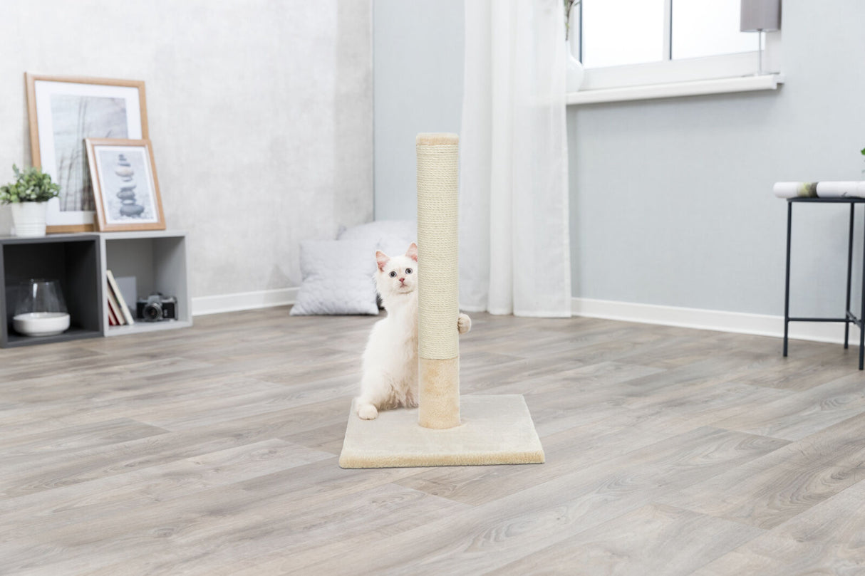 Eine Katze mit hellem Fell umarmt einen Kratzbaum in einem hellen Zimmer mit Holzfußboden.
