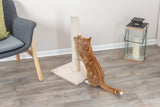 PHO_PRO_CAT_43360-2