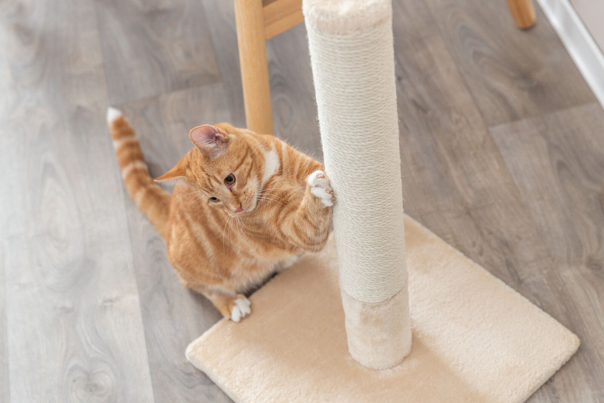 PHO_PRO_CAT_43360-6