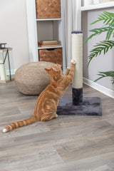 PHO_PRO_CAT_43361-2
