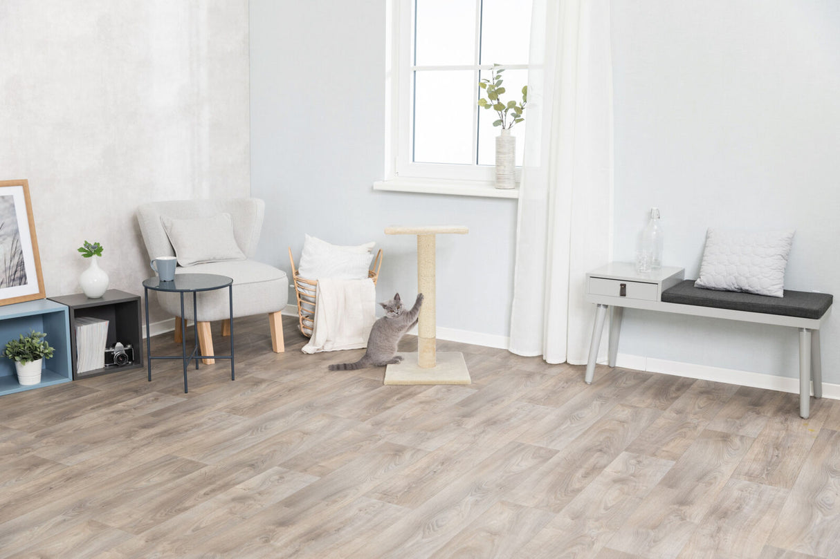 Ein grauer Raum mit hellem Holzboden, Katze an einem Kratzbaum, Möbel mit Kissen, Fenster mit Vorhang.