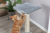 PHO_PRO_CAT_43371-3