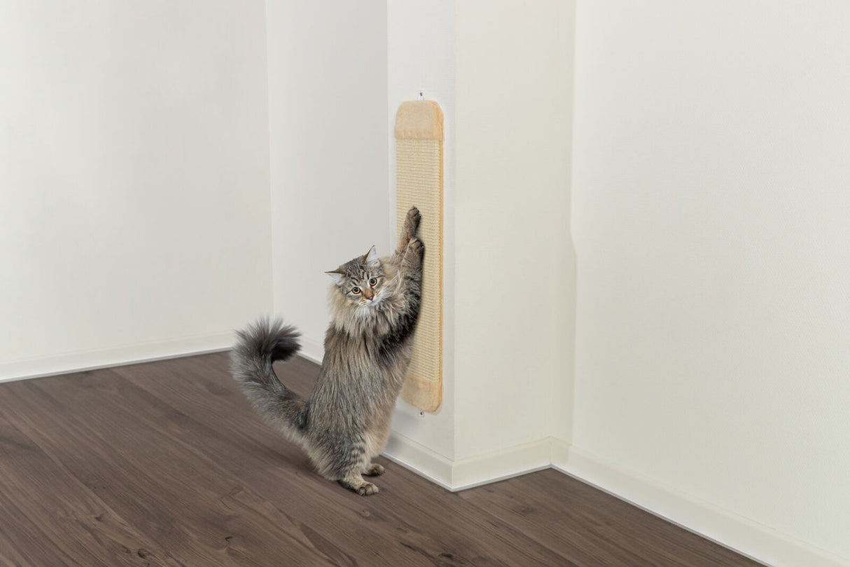 Graue Katze nutzt einen beige Kratzbrett an einer weißen Wand in einem Raum mit dunklem Laminatboden.
