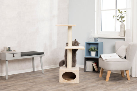 Kletterbaum mit Katze in modernem Raum neben grauem Stuhl, Regal mit Pflanzen und Büchern, und Bank mit Dekorationen.