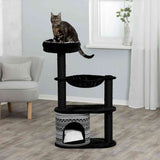 PHO_PRO_CAT_43466-1