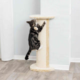 PHO_PRO_CAT_4350-1