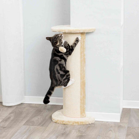 PHO_PRO_CAT_4350-1