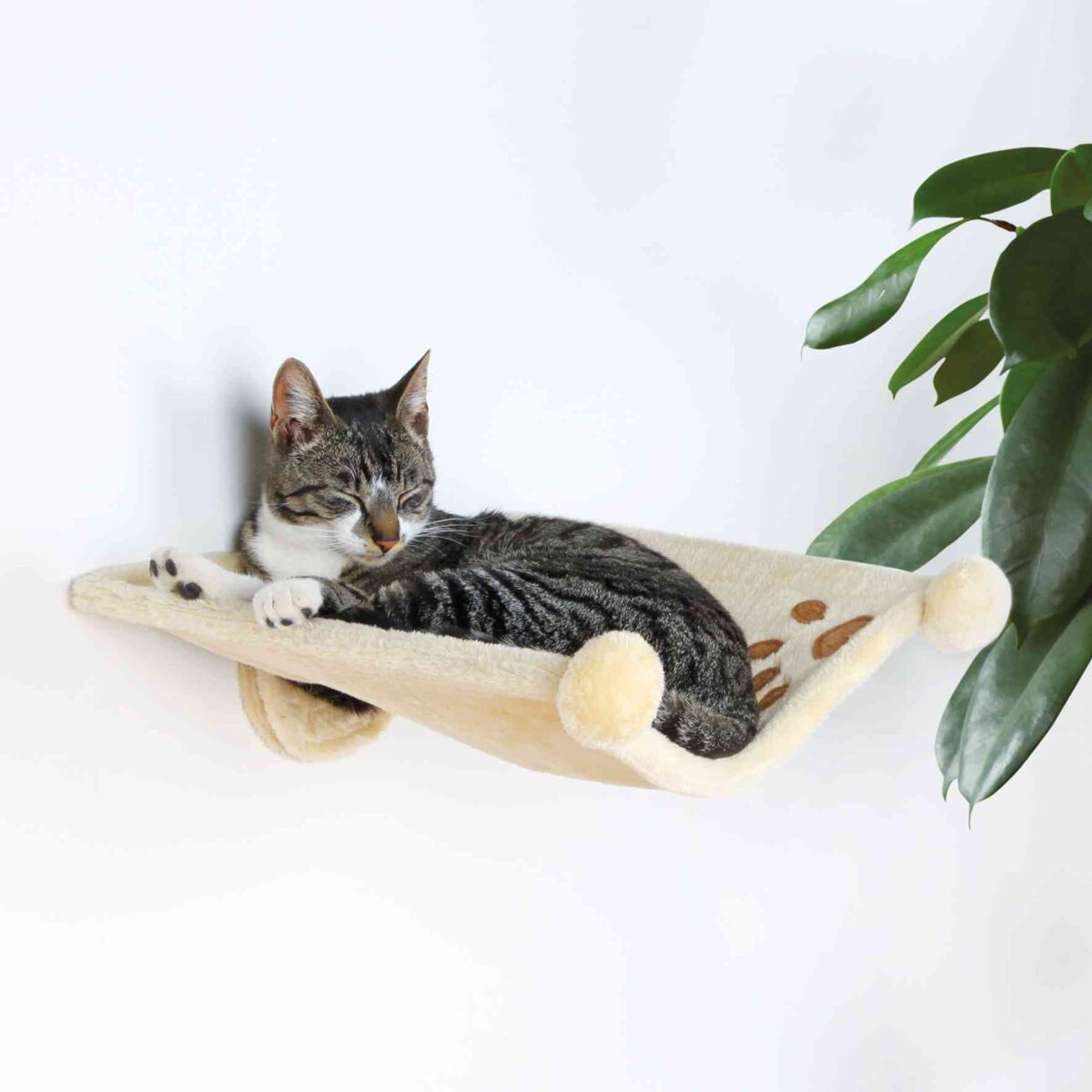PHO_PRO_CAT_43511-2
