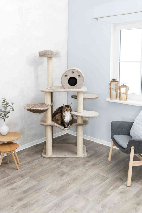 Ein Kratzbaum mit mehreren Ebenen und einer Höhle steht in einer Ecke, eine Katze sitzt darauf.