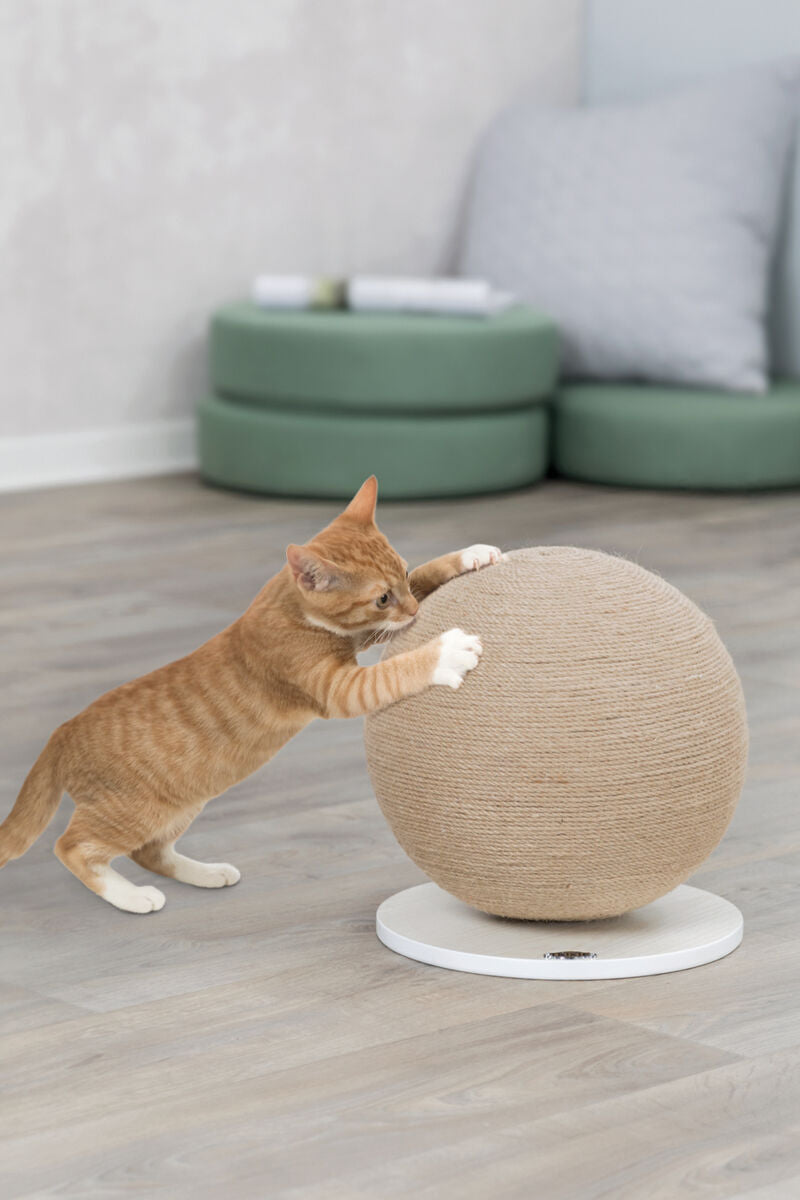 PHO_PRO_CAT_43721-2