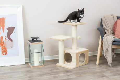 PHO_PRO_CAT_43771-3