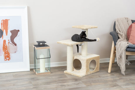 PHO_PRO_CAT_43771-4