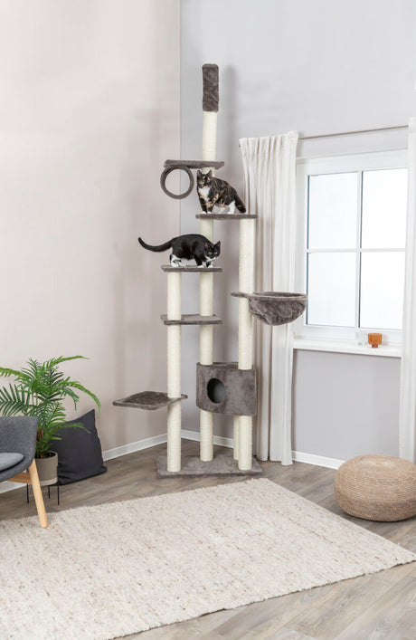 PHO_PRO_CAT_43902-7