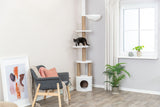 PHO_PRO_CAT_44072-3