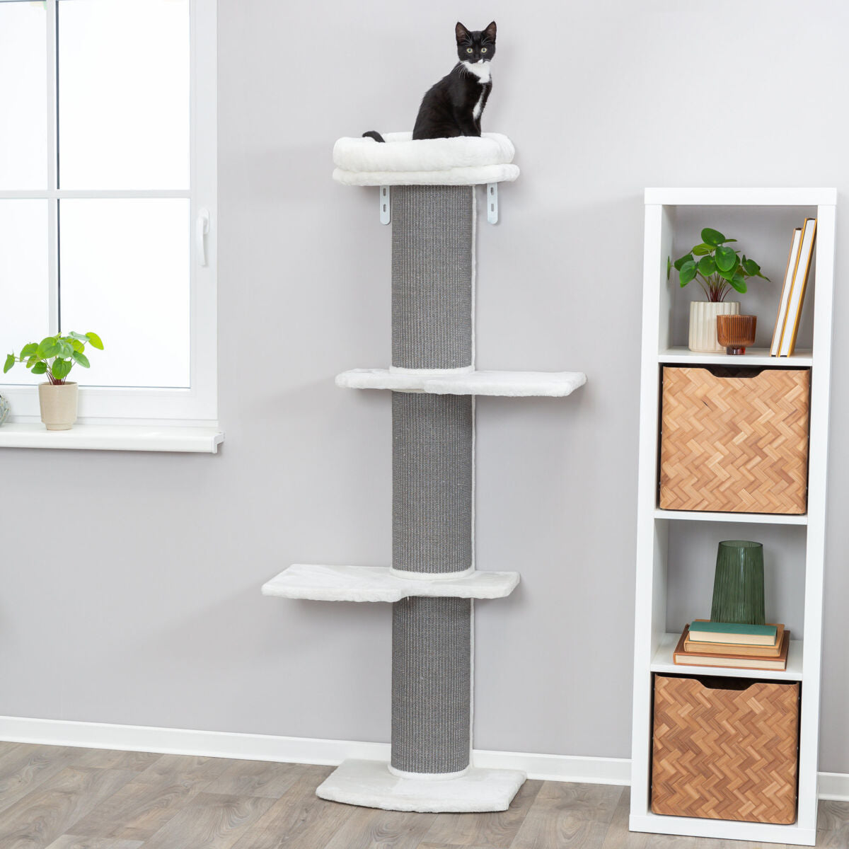 PHO_PRO_CAT_44073-4