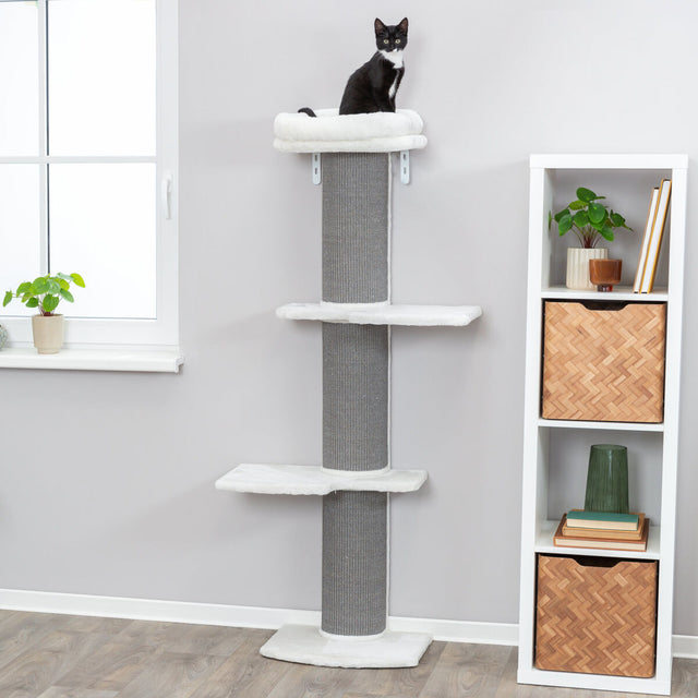 PHO_PRO_CAT_44073-4