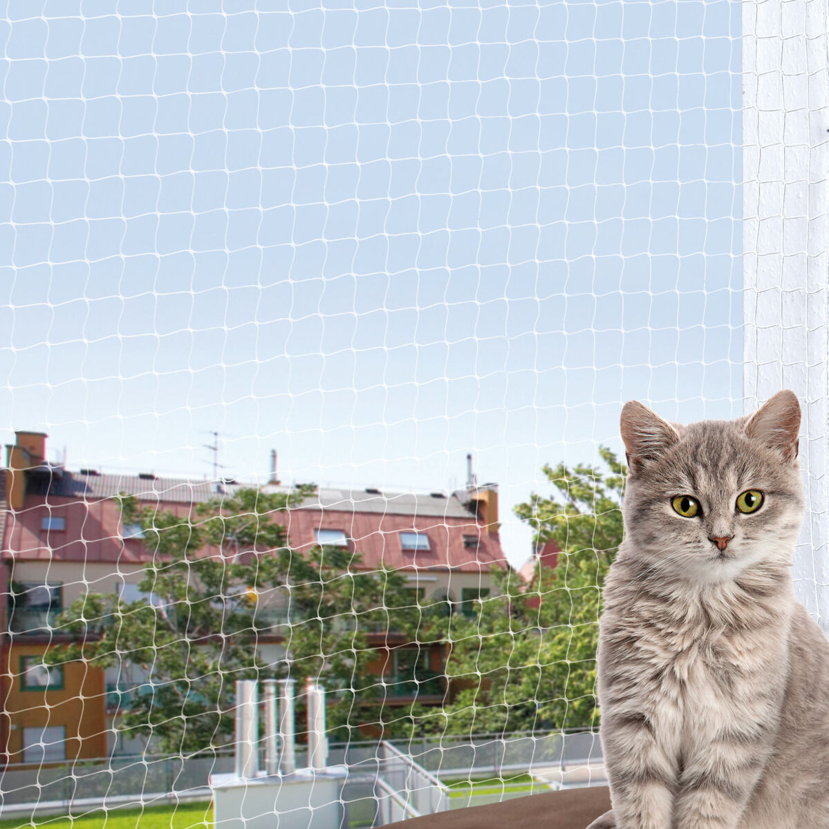 Eine graue Katze sitzt auf einem Balkon vor einem Schutznetz mit Blick auf Bäume und Gebäude im Hintergrund.