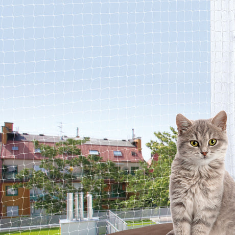Eine graue Katze sitzt auf einem Balkon vor einem Schutznetz mit Blick auf Bäume und Gebäude im Hintergrund.
