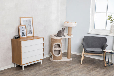 Ein grauer Stuhl neben einem Kratzbaum mit Katze, Holzboden, Bilderrahmen auf Kommode, Fenster und Pflanzenvase.