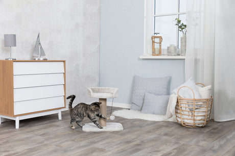 Wohnzimmer mit Holzkommode, grauer Kratzbaum, spielende Katze und Korb mit Kissen auf dem Holzboden.