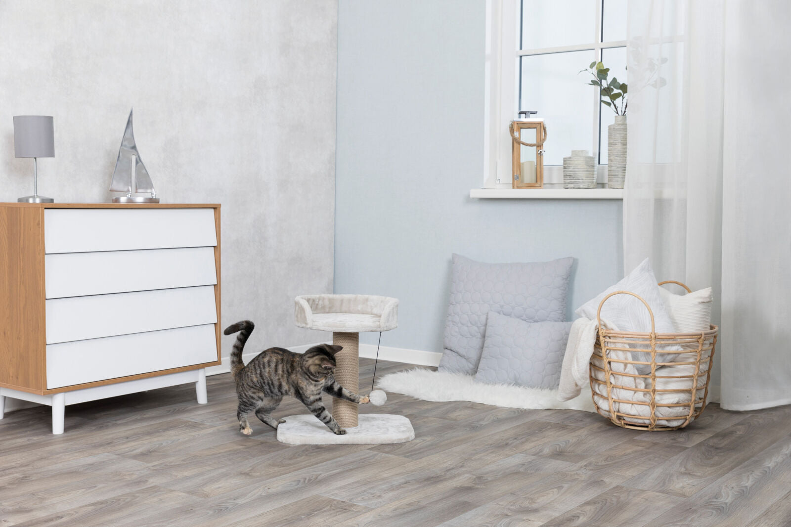 Wohnzimmer mit Holzkommode, grauer Kratzbaum, spielende Katze und Korb mit Kissen auf dem Holzboden.