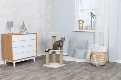 Katze auf einem Kratzbaum in einem Wohnzimmer mit grauen Kissen, einem weißen Vorhang und einer Holzkiste.