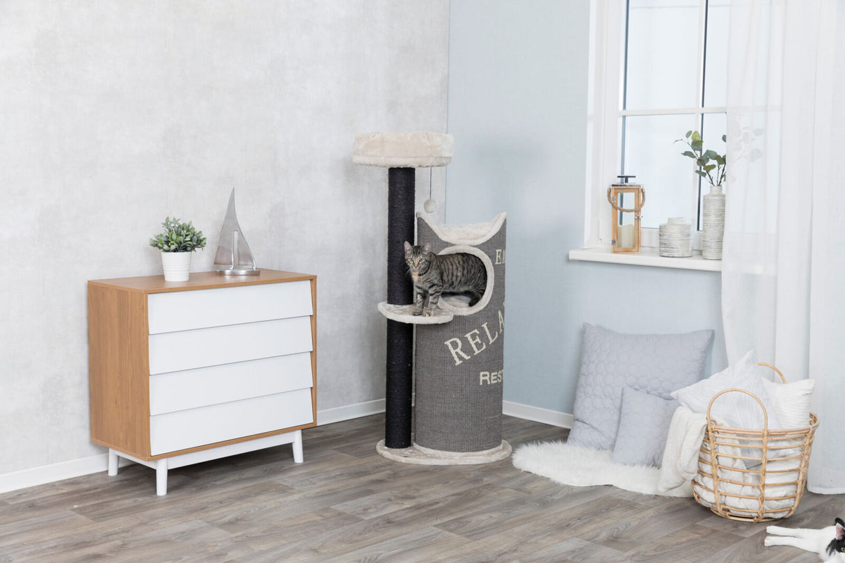 Das Bild zeigt eine Katze auf einem Kratzbaum in einem modernen Raum mit Holzboden, einer Kommode und weichen Kissen.
