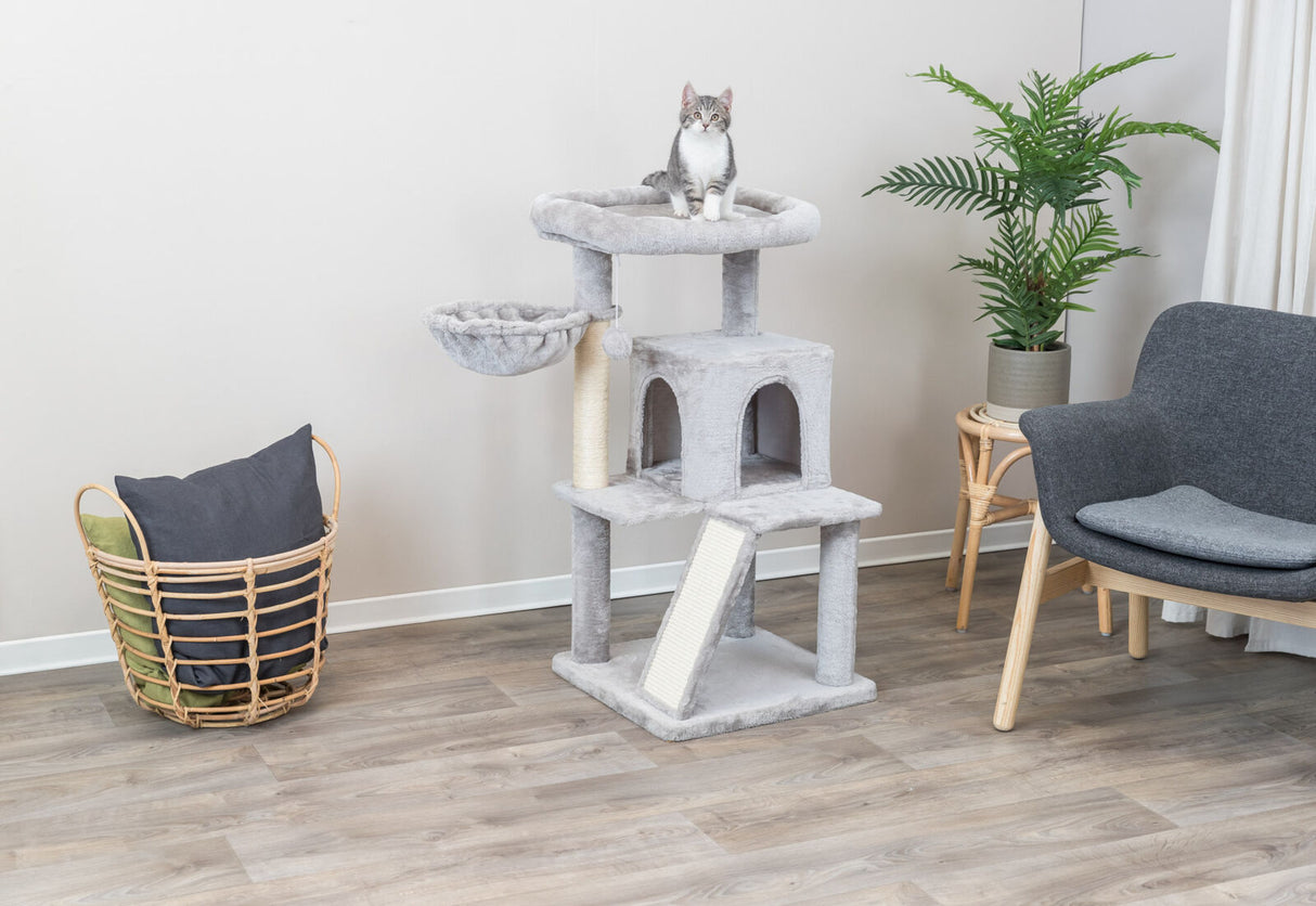 PHO_PRO_CAT_44435-1