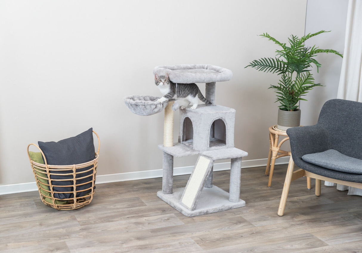 PHO_PRO_CAT_44435-2