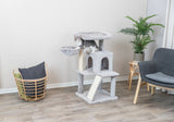 PHO_PRO_CAT_44435-2