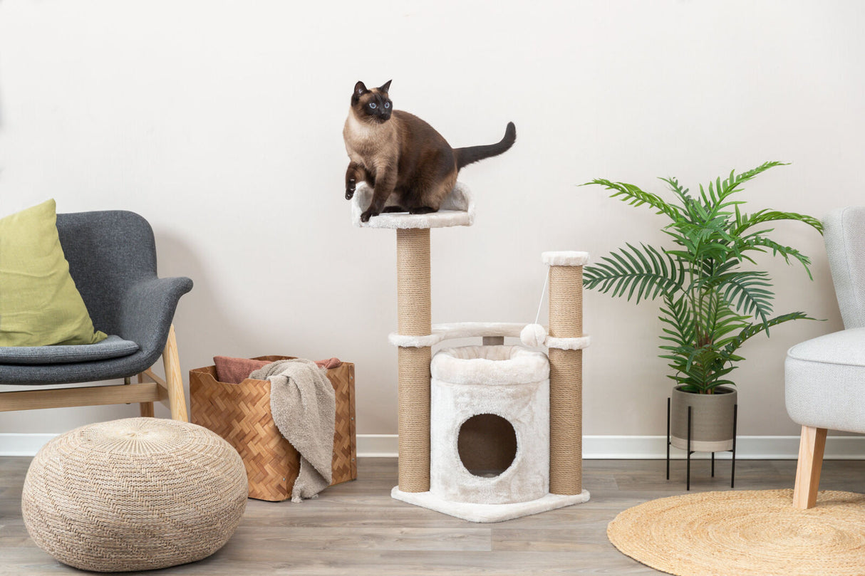 PHO_PRO_CAT_44436-4