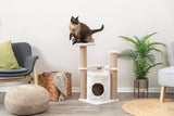 PHO_PRO_CAT_44436-4