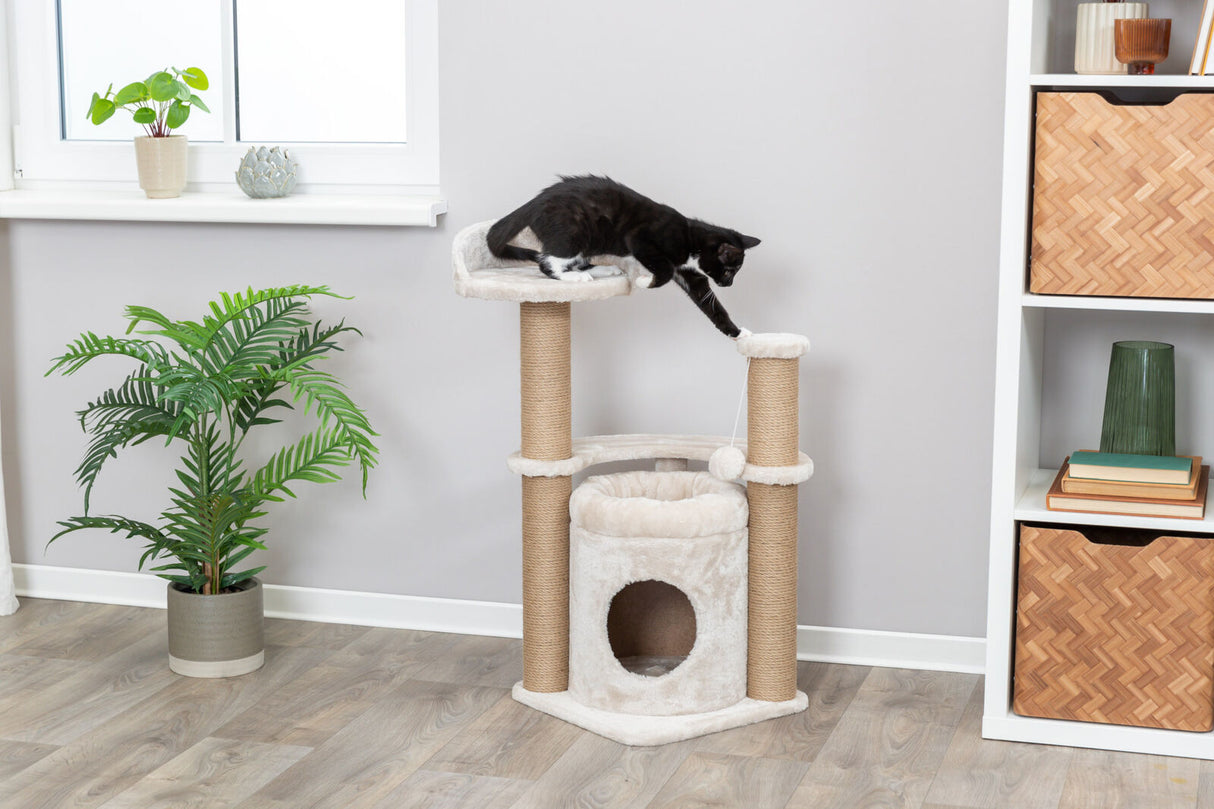 PHO_PRO_CAT_44436-5