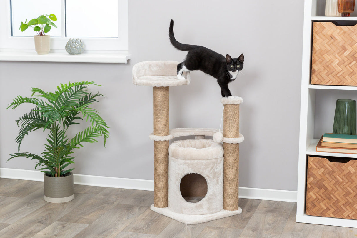 PHO_PRO_CAT_44436-6