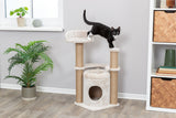 PHO_PRO_CAT_44436-6