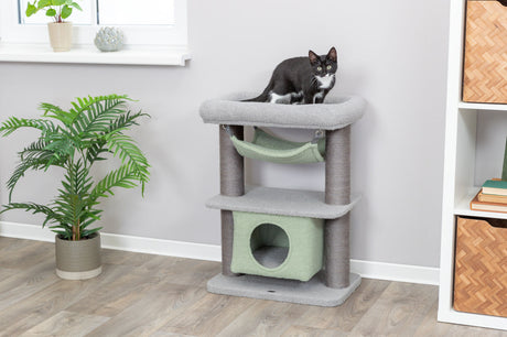 PHO_PRO_CAT_44442-1