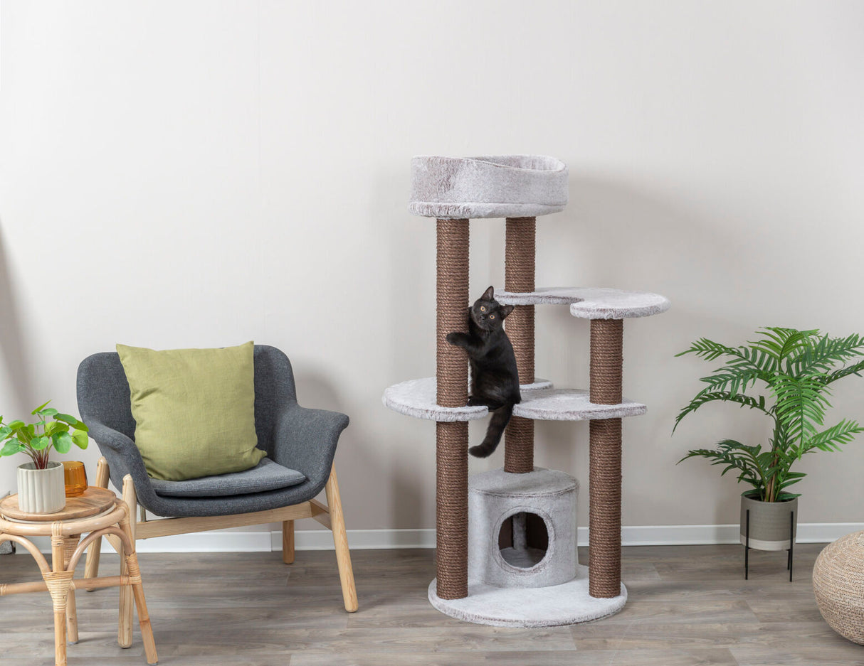 PHO_PRO_CAT_44456-1