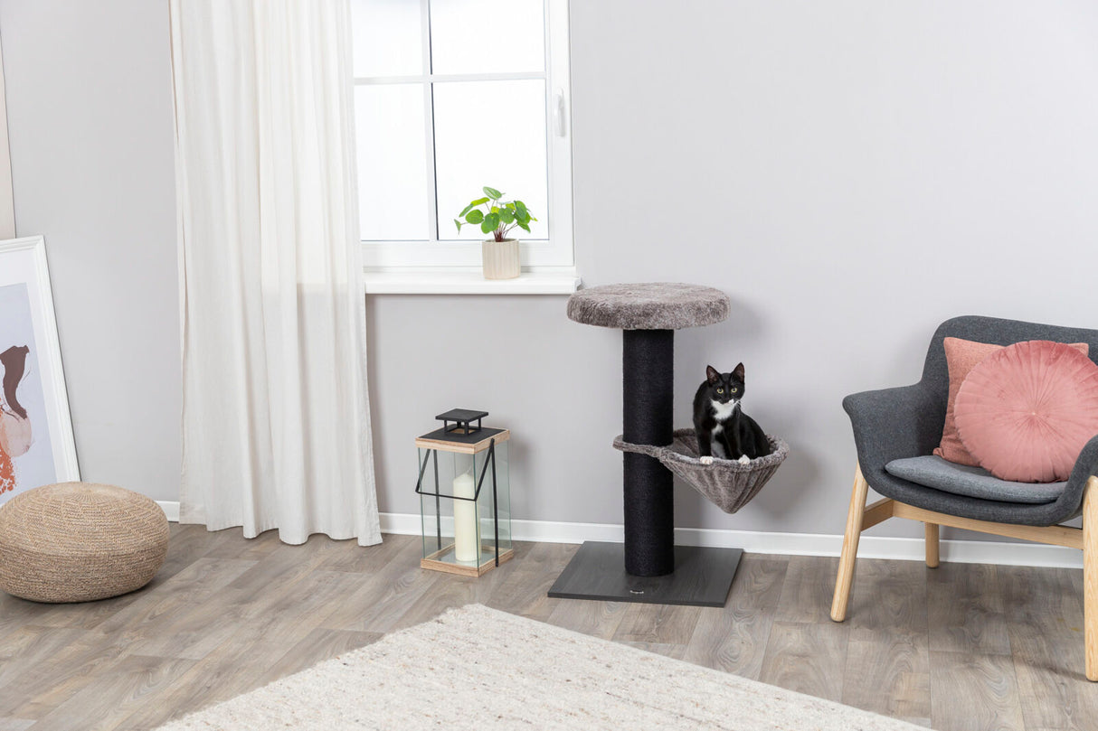 PHO_PRO_CAT_44458-2