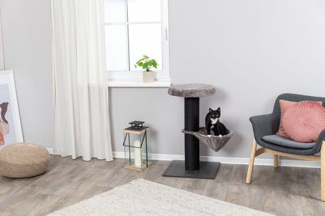PHO_PRO_CAT_44458-2