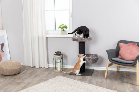 Zwei Katzen auf einem Kratzbaum in einem Wohnzimmer mit grauem Stuhl, Vorhang, Fenster und dekorativer Pflanze.