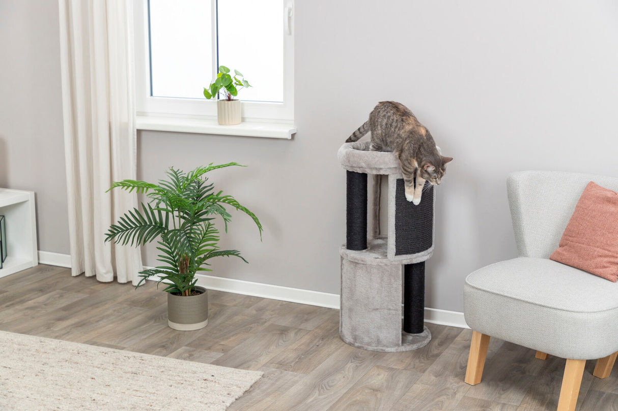 PHO_PRO_CAT_44463-2