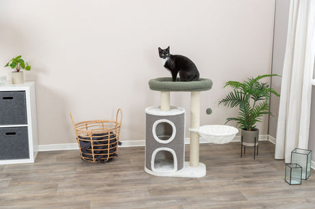 PHO_PRO_CAT_44468-1