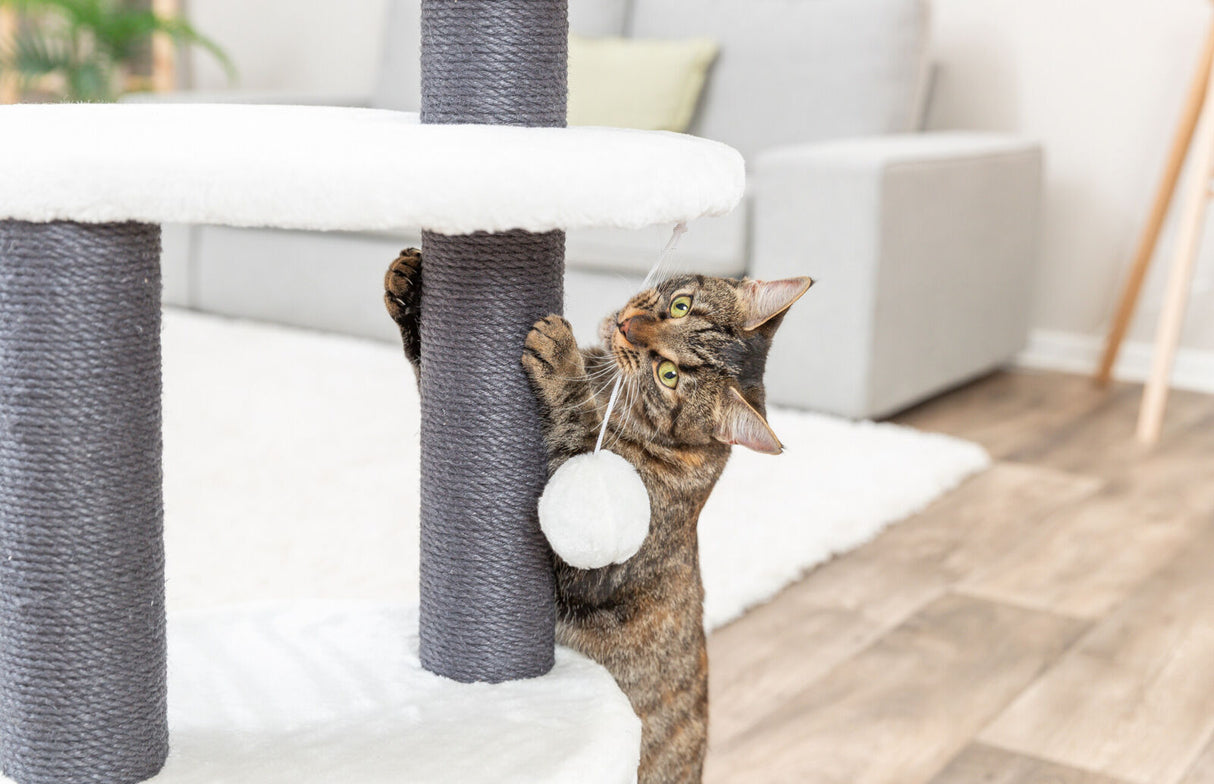 PHO_PRO_CAT_44469-3