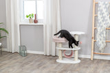 PHO_PRO_CAT_44472-1