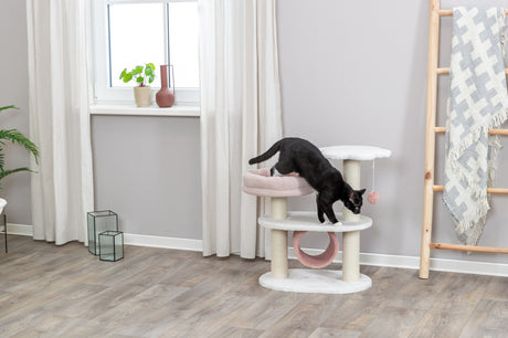 PHO_PRO_CAT_44472-1