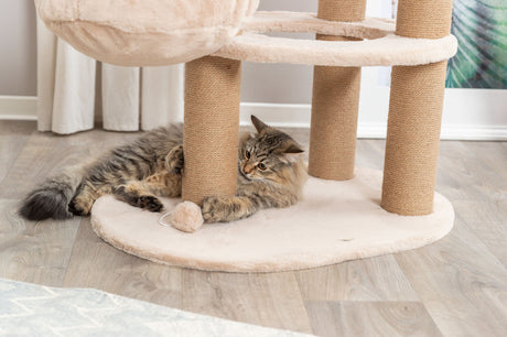 PHO_PRO_CAT_44474-3